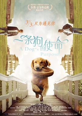 亚洲国产精品成人久久